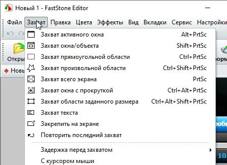 FastStone Capture 10.9 + ключ (активация) на русском