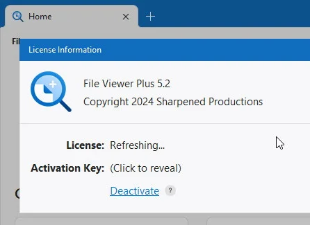 File Viewer Plus 5.3.0 и ключ продукта