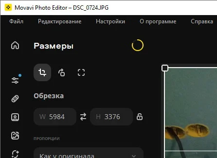 Movavi Photo Editor 24.3.0 + активация